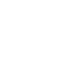 گالری طلا و جواهر سی نار